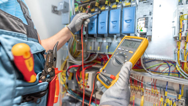 Best Electric Panel Repair  in Harvey, MI